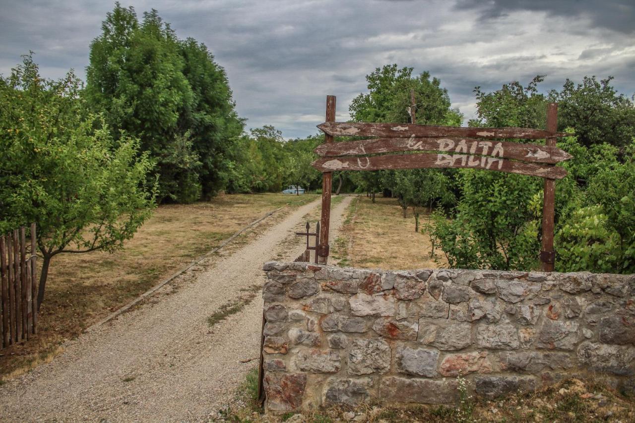 ホテル La Balta バドゥ・クリシュルイ エクステリア 写真